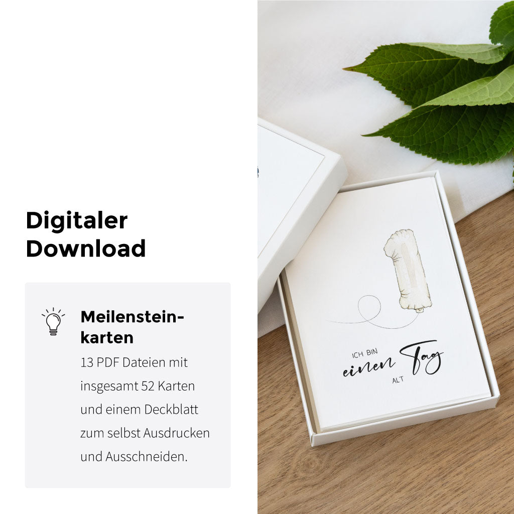 Übersichtliche Box mit Meilensteinkarten zum Ausdrucken, digitaler Download als PDF mit 52 Babykarten zur Dokumentation des ersten Babyjahres.