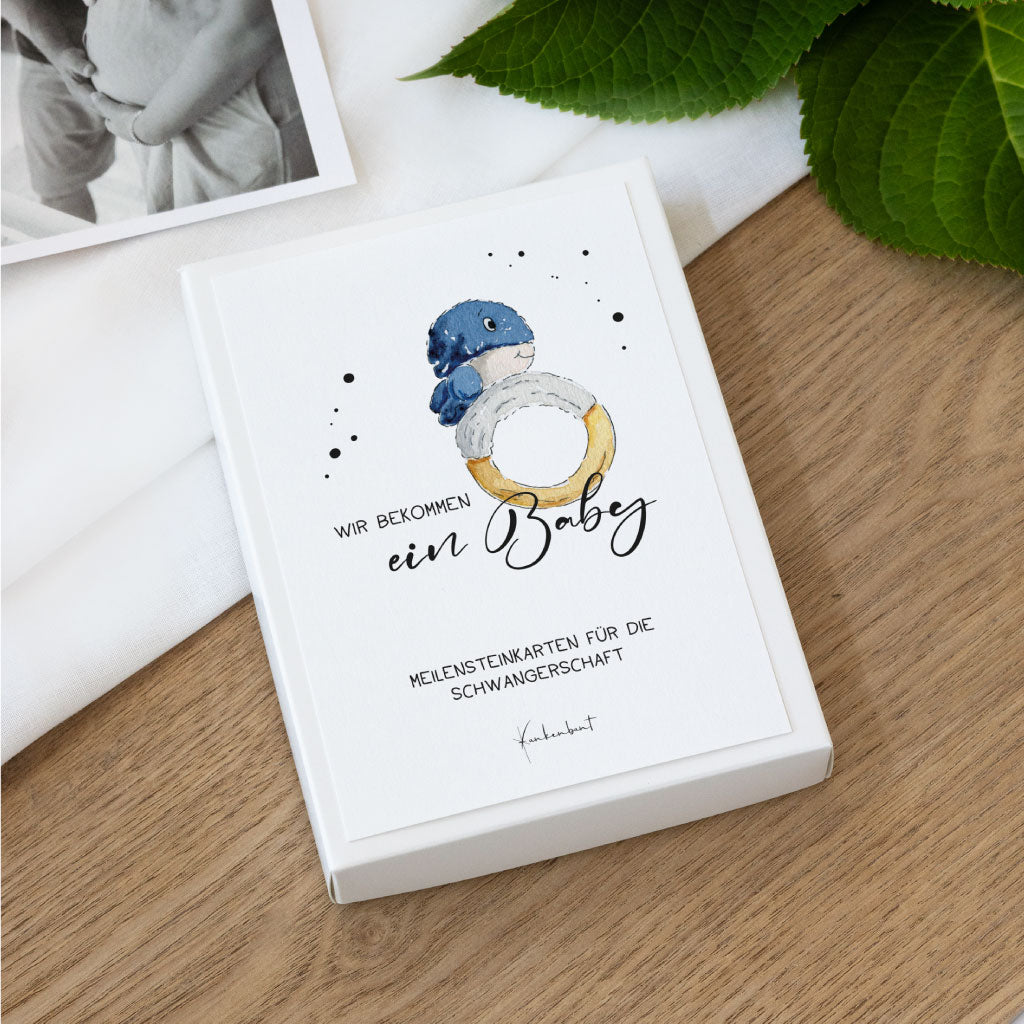 Deckblatt der Meilensteinkarten-Box mit Aquarell-Illustration eines Schnullerrings – liebevoll gestaltete Karten für die Schwangerschaft als PDF zum Ausdrucken.