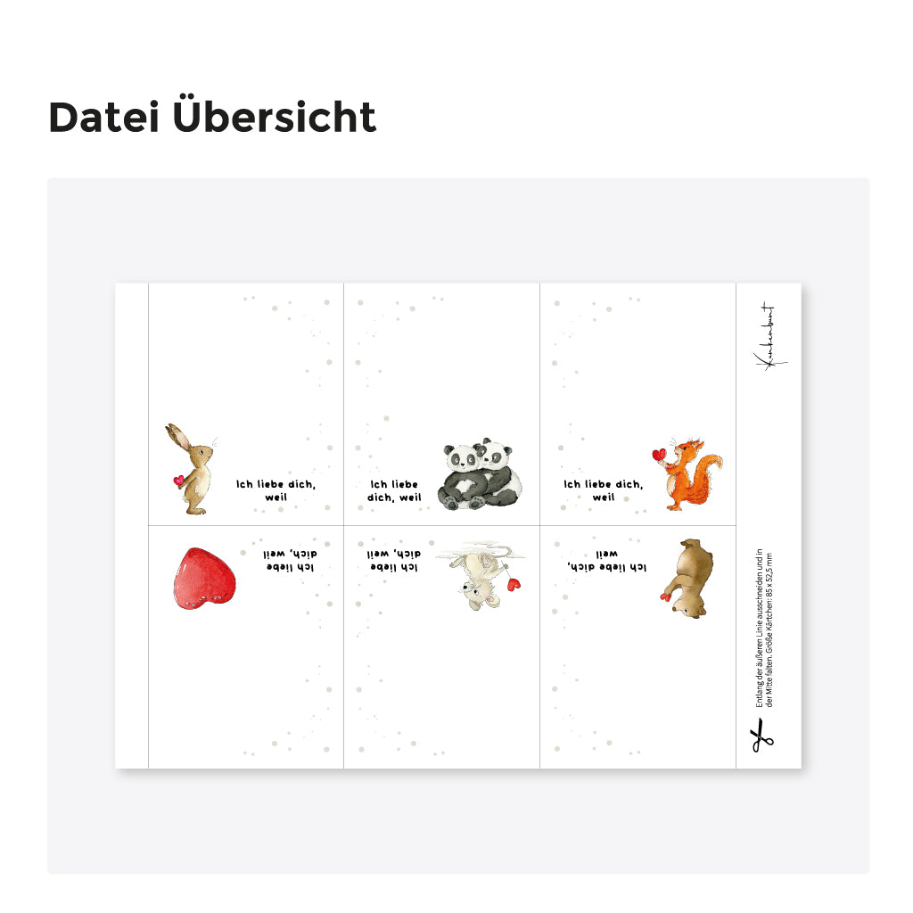 DIn A4 Datei mit sechs Kärtchen