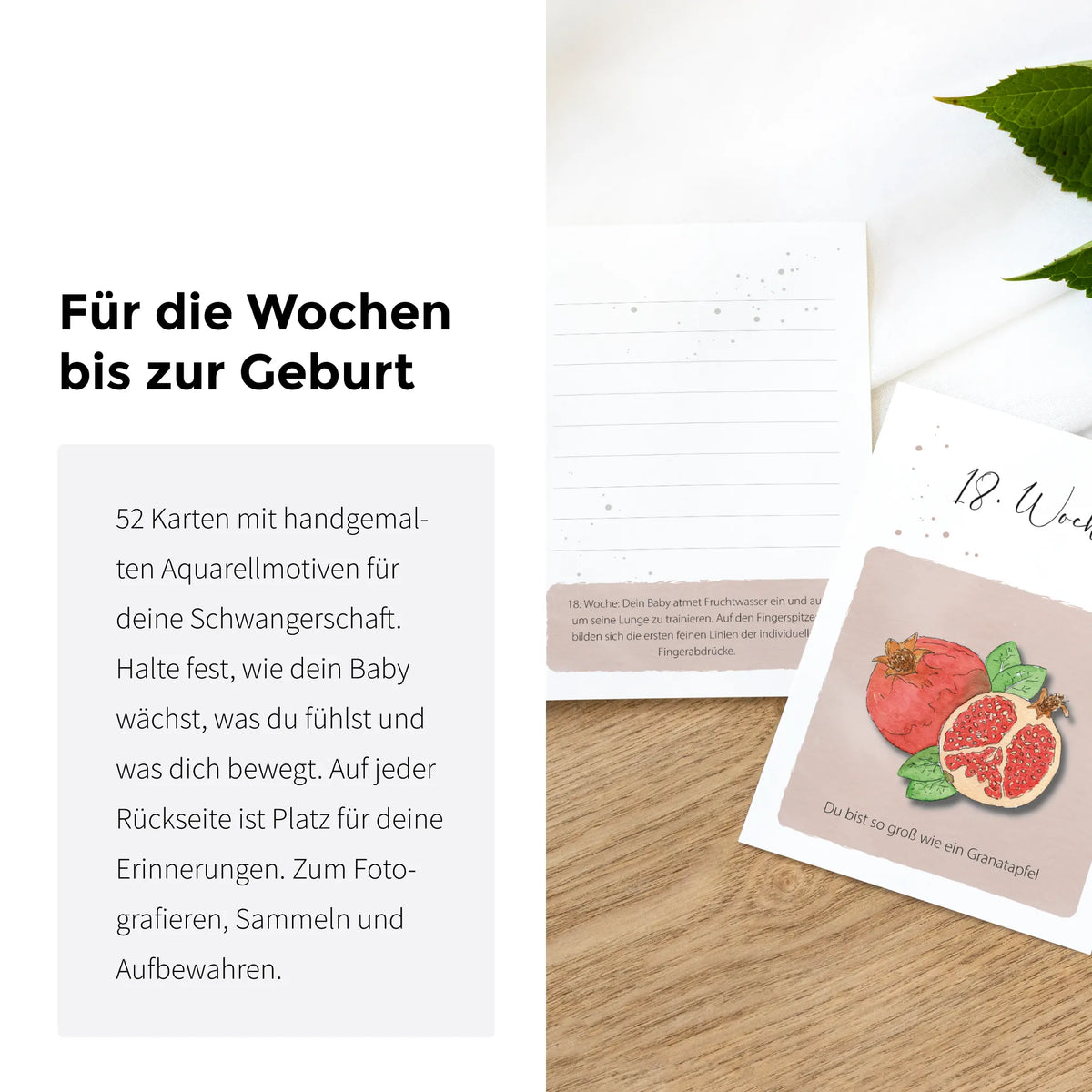 Meilensteinkarten Schwangerschaft 52er Set mit Aquarell Motiv Granatapfel, Rückseite mit Linien für Erinnerungen