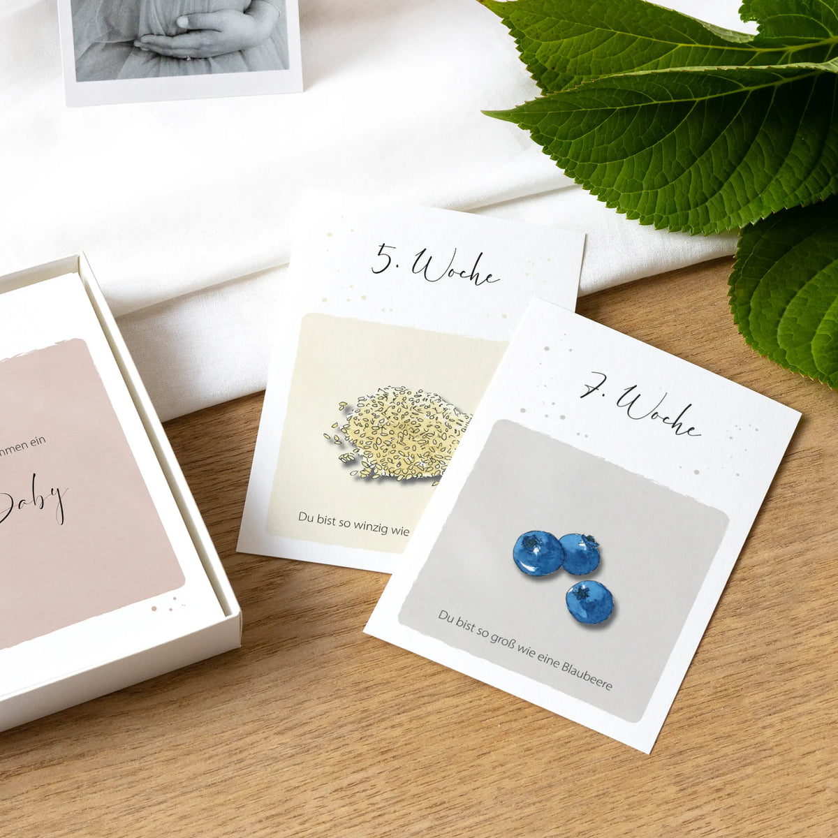 Meilensteinkarten Schwangerschaft Woche 5 und 7 mit Aquarell Motiv Sesamkorn und Blaubeere neben weißer Box
