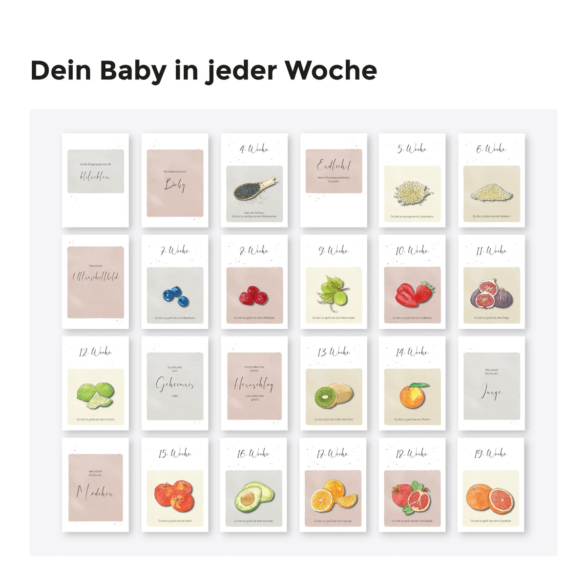 Meilensteinkarten Schwangerschaft Übersicht Wochen 1 bis 19 mit handgemalten Aquarell Motiv Früchten